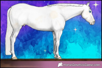 Horse Color:Silver Amber Cream Champagne Pearl Dun Merle Tobiano 