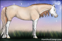 Horse Color:Amber Champagne Pearl Splash 