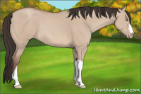 Horse Color:Sable Champagne Dun 