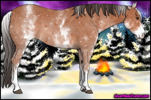 Horse Color: White Spotted Bay 