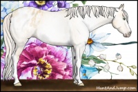 Horse Color:Gray Silver Amber Cream Champagne Roan Dun Splash Tobiano Frame Blanket Rabicano 