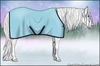 Horse Color:Gray Silver Amber Cream Champagne Roan Dun Splash Tobiano Frame Appaloosa Rabicano 