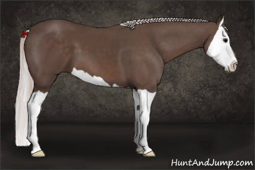 Horse Color:Silver Black Splash