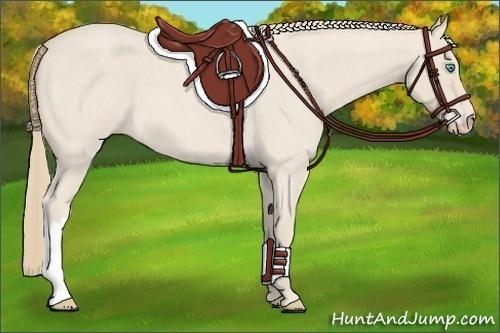 Horse Color:Smoky Creme Roan 