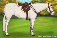 Horse Color:Smoky Creme Roan 