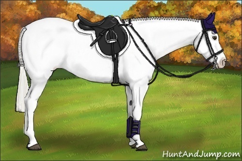 Horse Color:Palomino Roan Splash Blanket