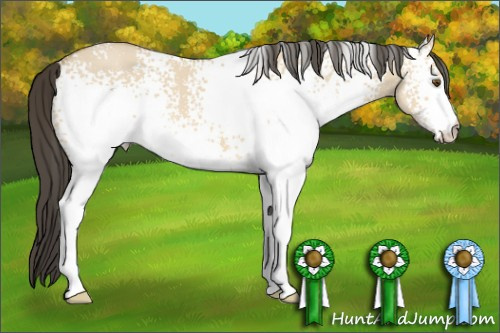 Horse Color:White Spotted Buckskin Dun 