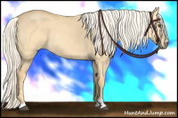 Horse Color:Palomino Roan Dun
