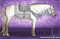 Horse Color:Gray Red Dun 