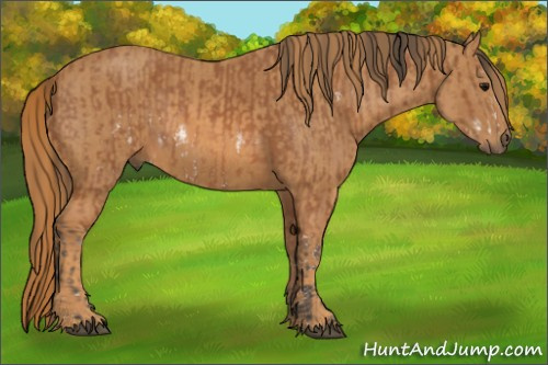Horse Color: Bay Splash Frame  Brindle