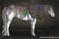 Horse Color:Nacre Black Sabino Splash Rabicano 