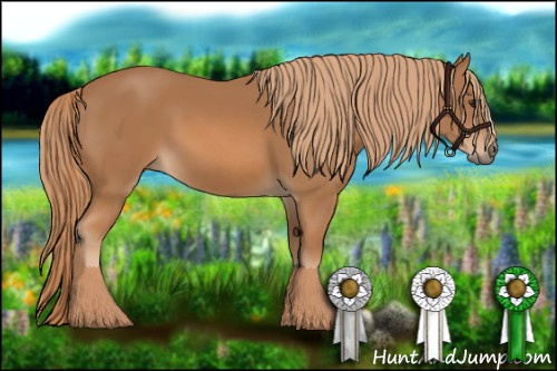 Horse Color: Chestnut 