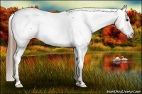 Horse Color:Classic Champagne Snowcap 
