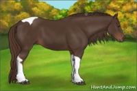 Horse Color:Liver Chestnut Tobiano 