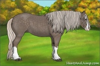 Horse Color:Silver Blue Roan Splash
