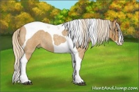 Horse Color:Palomino Roan Splash Tobiano 