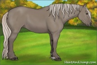 Horse Color:Silver Grullo 