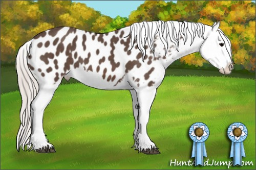 Horse Color: Silver Brown Splash Blanket 