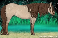 Horse Color:Liver Red Dun Sabino