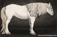 Horse Color:Smoky Creme Roan Dun 
