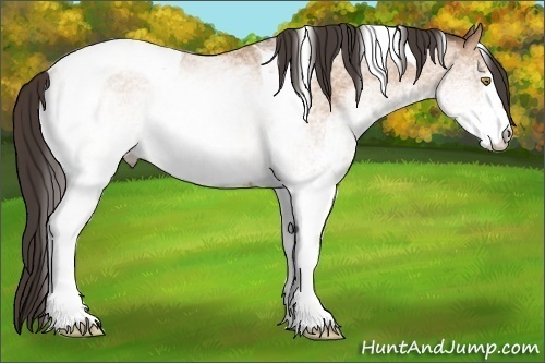 Horse Color:White Spotted Amber Champagne Tobiano