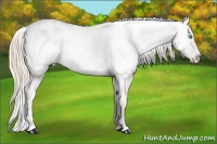 Horse Color:Perlino Roan Dun Snowcap