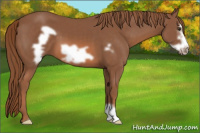 Horse Color:Chestnut Frame