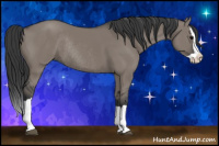 Horse Color:Grullo Splash Rabicano 