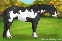 Horse Color:Liver Chestnut Frame 