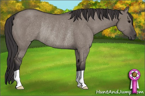 Horse Color: Smoky Grullo Rabicano 