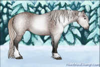 Horse Color:Gray Silver Bay Tobiano