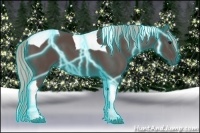 Horse Color:Thunderstruck Silver Black Tobiano 