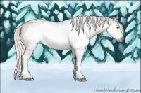 Horse Color:Silver Brown Ice Dun Splash Frame 