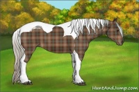 Horse Color:Plaid  Silver Bay Tobiano 