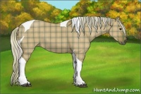 Horse Color:Plaid  Silver Smoky Grullo Sabino Tobiano 