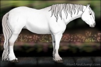 Horse Color:Gray Chestnut Varnish 