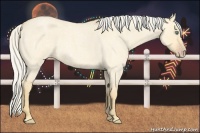 Horse Color:Silver Classic Cream Champagne Roan Dun 