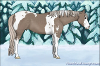 Horse Color:Silver Grullo Sabino Tobiano
