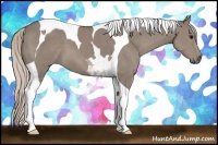 Horse Color:Silver Grullo Tobiano