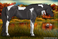 Horse Color:Buckskin Tobiano