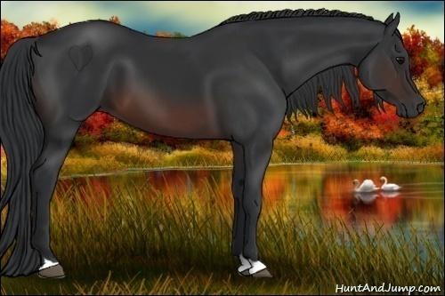 Horse Color:Brown 