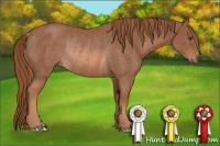 Horse Color:Liver Chestnut Rabicano