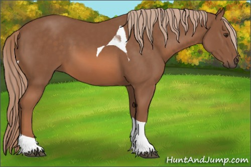 Horse Color: Liver Chestnut Tobiano 