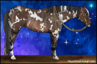 Horse Color:White Spotted Bay Rabicano