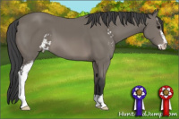 Horse Color:Black Sabino