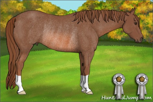 Horse Color: Chestnut Rabicano 