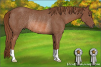 Horse Color:Chestnut Rabicano