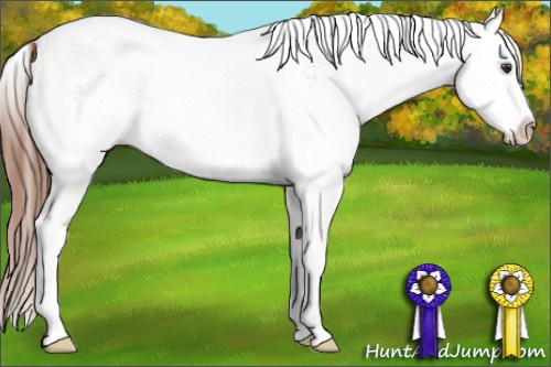 Horse Color: White Spotted Liver Red Dun Splash 
