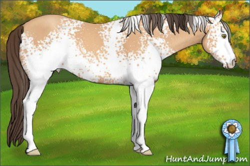 Horse Color: White Spotted Amber Champagne 