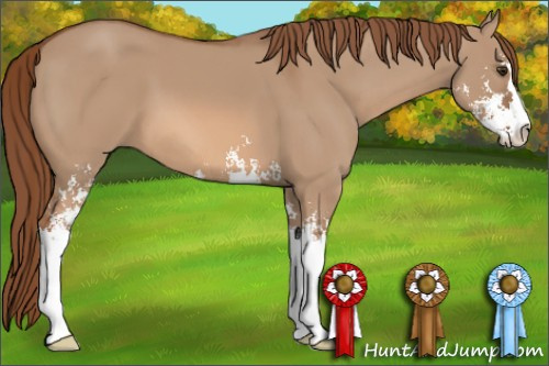 Horse Color: Liver Red Dun Sabino 